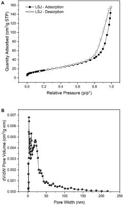 Design and Synthesis of a Biochar-Supported Nano Manganese Dioxide Composite for Antibiotics Removal From Aqueous Solution